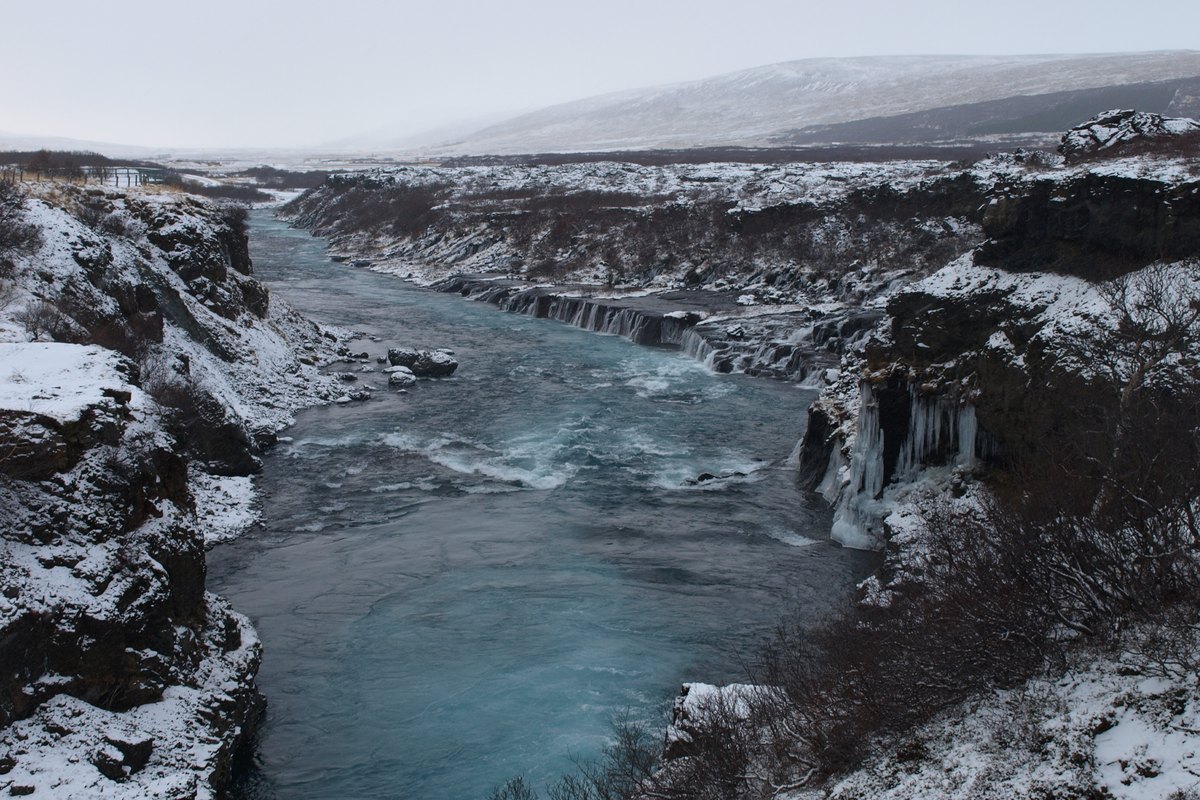 The river at Hraunfossar in winter, running blue-grey between snow-covered lava banks hung with icicles