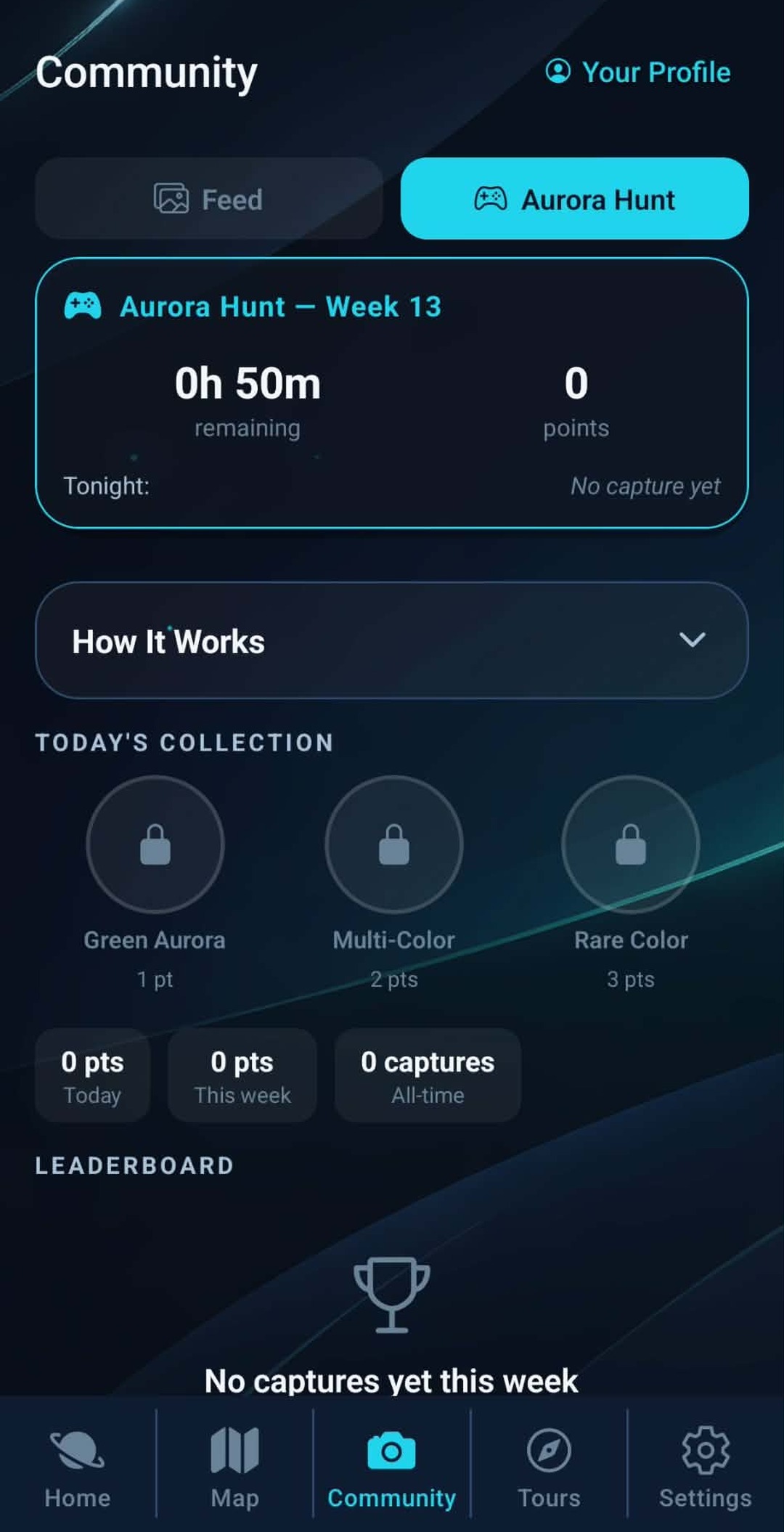 Aurora Hunt weekly game