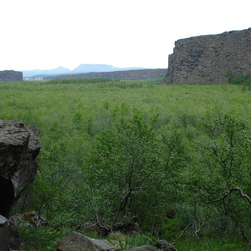 Ásbyrgi Canyon