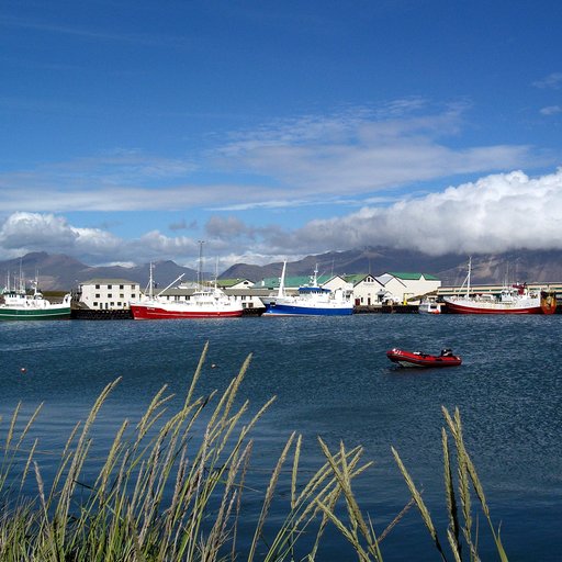 Höfn