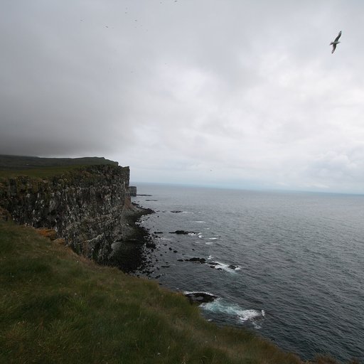 Látrabjarg Cliffs